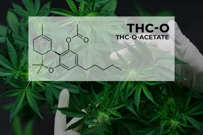 How is THC-O North Carolina legal to produce and sell in the USA?
