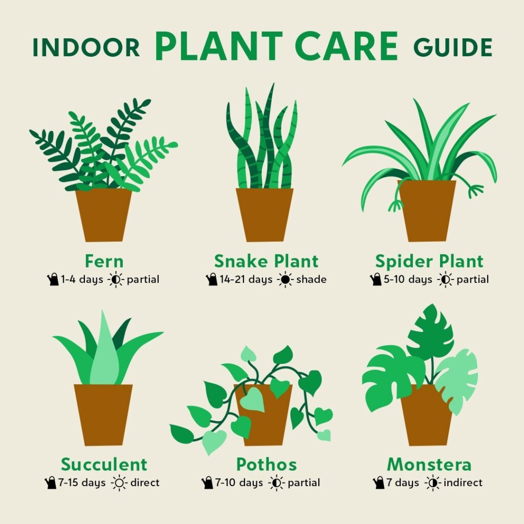 indoor plants