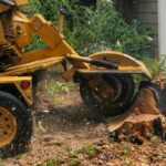 Stump Removal Sydney: Why You Should Hire Professional Tree Stump Grinders