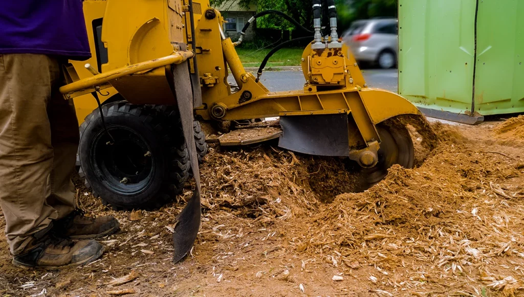 stump-grinding